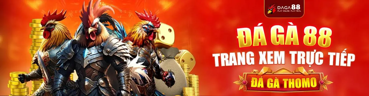 Hình ảnh đại diện cho quy trình giải quyết tranh chấp và hỗ trợ khách hàng tại wibo88 code